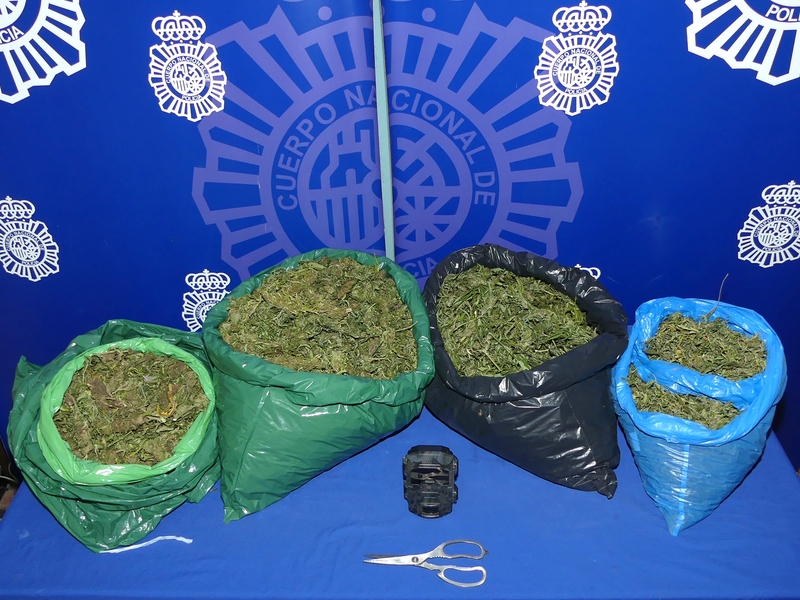 Detenido tras incautarle bolsas con 6 kilos de marihuana guardadas en una plaza de garaje cerrada 